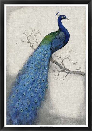 Framed Peacock Blue I Print