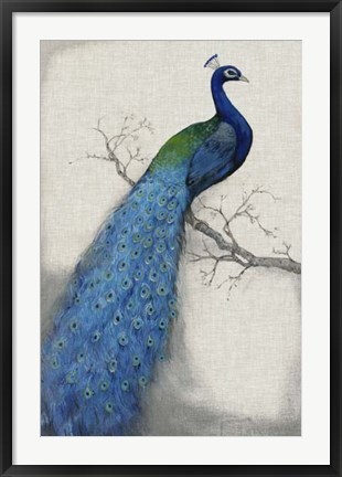 Framed Peacock Blue I Print