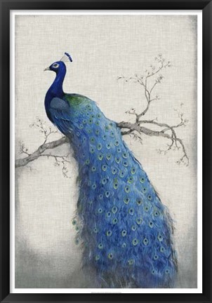 Framed Peacock Blue II Print