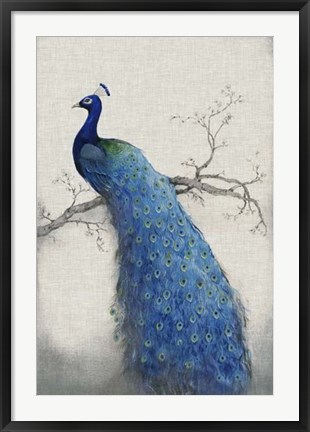 Framed Peacock Blue II Print