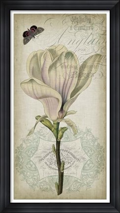 Framed Cartouche &amp; Floral I Print
