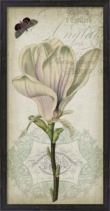 Framed Cartouche &amp; Floral I Print