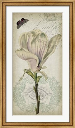 Framed Cartouche &amp; Floral I Print