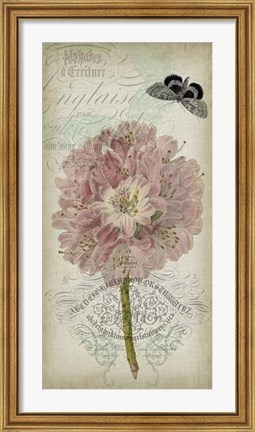 Framed Cartouche &amp; Floral II Print