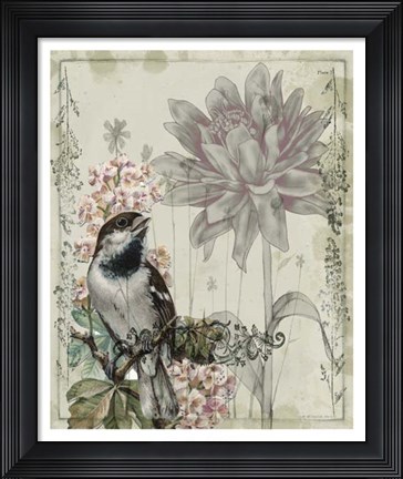 Framed Mauve Melody I Print