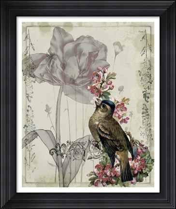 Framed Mauve Melody II Print