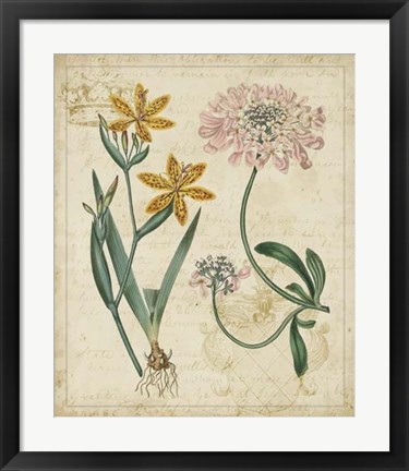 Framed Botanical Repertoire I Print