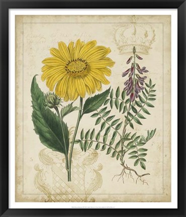 Framed Botanical Repertoire III Print