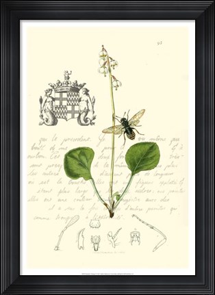 Framed Naturalist's Montage V Print