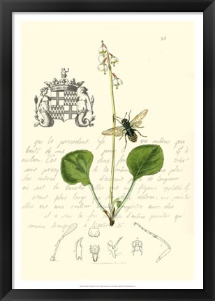 Framed Naturalist&#39;s Montage V Print