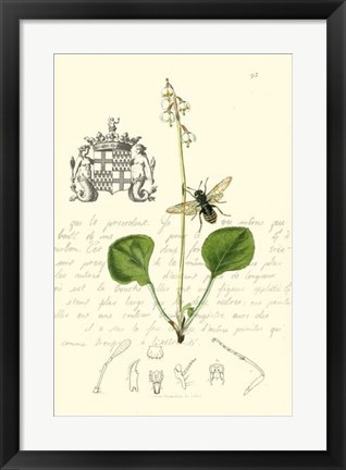 Framed Naturalist&#39;s Montage V Print