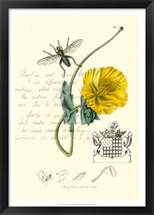 Framed Naturalist&#39;s Montage VI Print