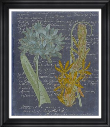 Framed Midnight Sonnet II Print