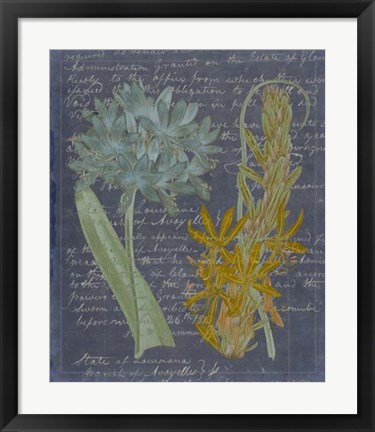 Framed Midnight Sonnet II Print