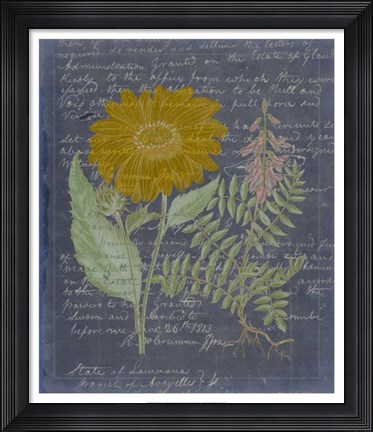 Framed Midnight Sonnet III Print