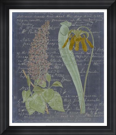 Framed Midnight Sonnet IV Print