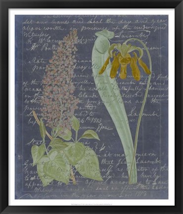 Framed Midnight Sonnet IV Print