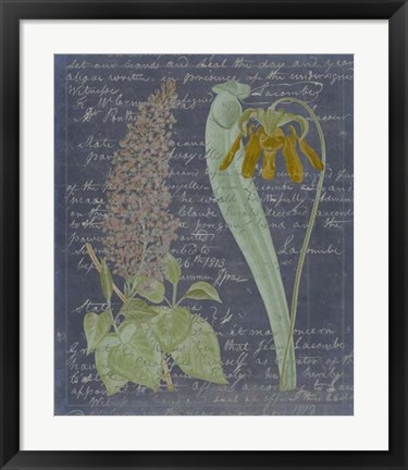Framed Midnight Sonnet IV Print