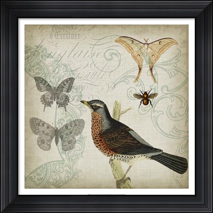 Framed Cartouche &amp; Wings II Print