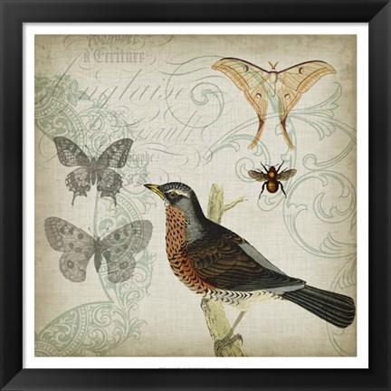 Framed Cartouche &amp; Wings II Print