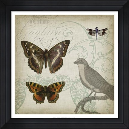 Framed Cartouche &amp; Wings III Print