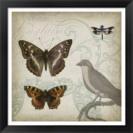 Framed Cartouche &amp; Wings III Print