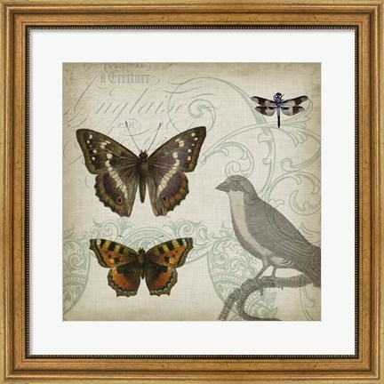 Framed Cartouche &amp; Wings III Print