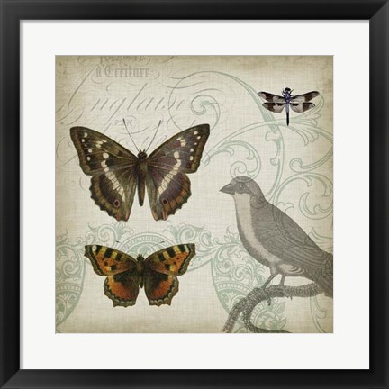 Framed Cartouche &amp; Wings III Print