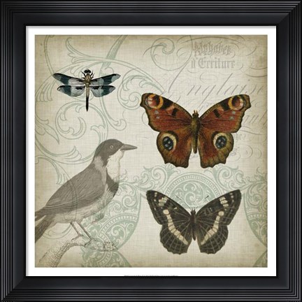 Framed Cartouche &amp; Wings IV Print