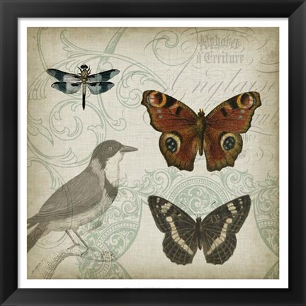 Framed Cartouche &amp; Wings IV Print