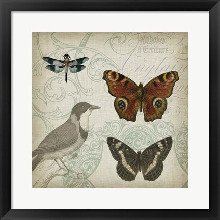 Framed Cartouche &amp; Wings IV Print