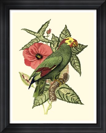 Framed Tropical Birds and Botanicals I Print