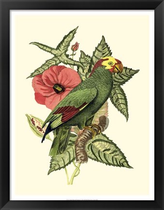 Framed Tropical Birds and Botanicals I Print