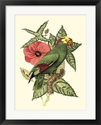 Framed Tropical Birds and Botanicals I Print