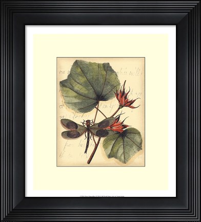 Framed Petite Dragonflies I Print