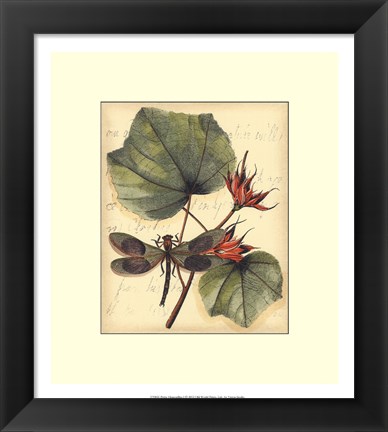 Framed Petite Dragonflies I Print