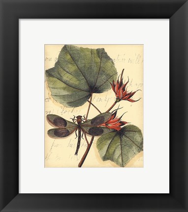 Framed Petite Dragonflies I Print