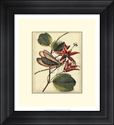 Framed Petite Dragonflies III Print