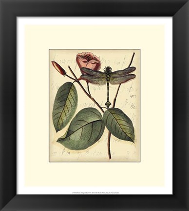 Framed Petite Dragonflies IV Print