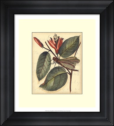 Framed Petite Dragonflies V Print