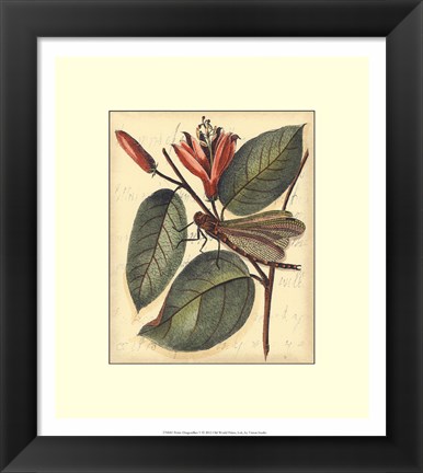 Framed Petite Dragonflies V Print