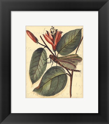 Framed Petite Dragonflies V Print