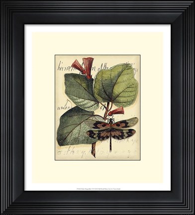 Framed Petite Dragonflies VI Print