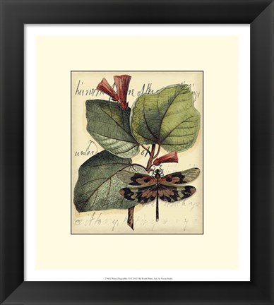 Framed Petite Dragonflies VI Print