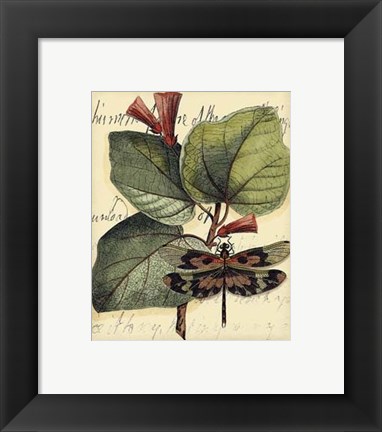 Framed Petite Dragonflies VI Print