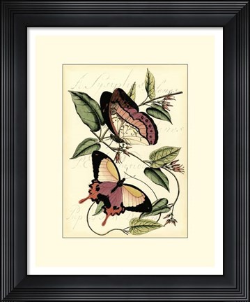 Framed Petite Butterflies I Print