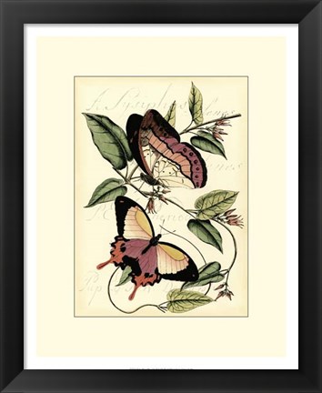 Framed Petite Butterflies I Print