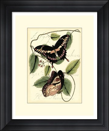 Framed Petite Butterflies III Print