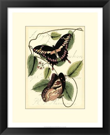 Framed Petite Butterflies III Print