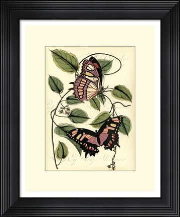 Framed Petite Butterflies IV Print